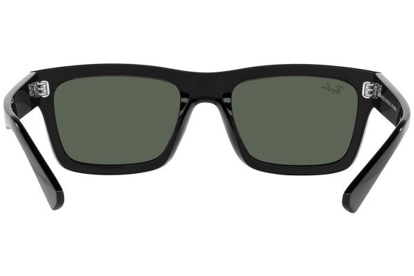 Ray-Ban Warren RB4396 667771