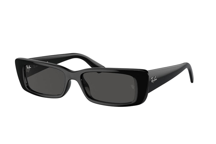 Ray-Ban Teru RB4425 667787