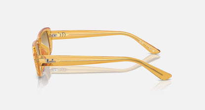 Ray-Ban RB4436D 668213