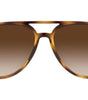 Ray-Ban RB4376 710/13