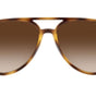 Ray-Ban RB4376 710/13