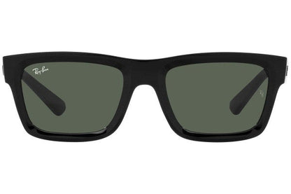 Ray-Ban Warren RB4396 667771