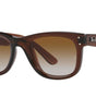 Ray-Ban Wayfarer Reverse RBR0502S 6709CB