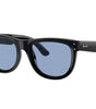 Ray-Ban Wayfarer Reverse RBR0502S 667772