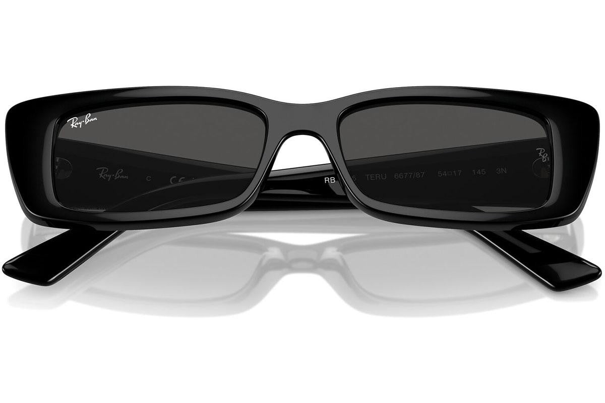 Ray-Ban Teru RB4425 667787