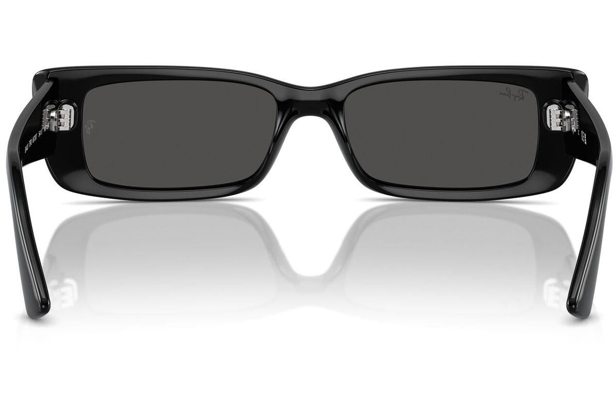 Ray-Ban Teru RB4425 667787