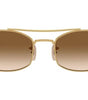 Ray-Ban RB3719 001/51
