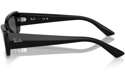 Ray-Ban Teru RB4425 667787