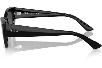 Ray-Ban Zena RB4430 667787