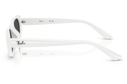 Ray-Ban RB4441D 677287