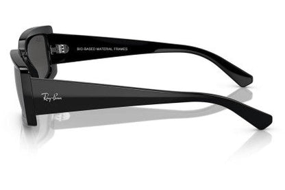 Ray-Ban Kiliane RB4395 667787