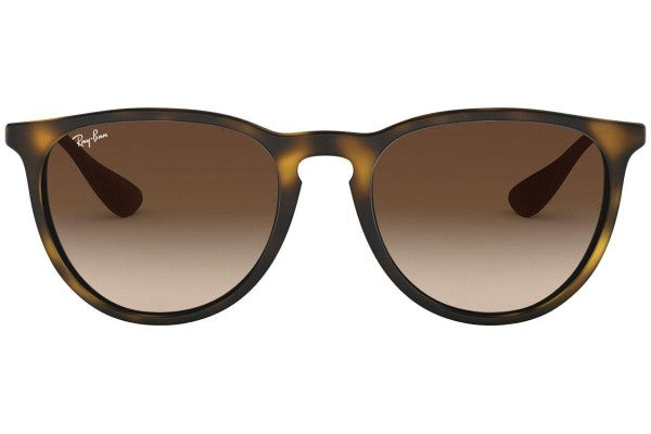 Ray-Ban Erika Classic Havana Collection RB4171 865/13