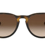 Ray-Ban Erika Classic Havana Collection RB4171 865/13