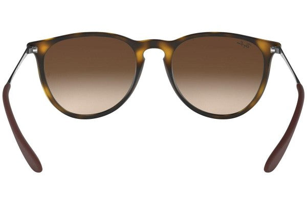 Ray-Ban Erika Classic Havana Collection RB4171 865/13