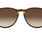Ray-Ban Erika Classic Havana Collection RB4171 865/13