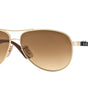Ray-Ban RB8313 001/51