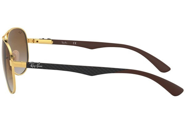 Ray-Ban RB8313 001/51