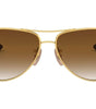 Ray-Ban RB8313 001/51
