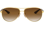 Ray-Ban RB8313 001/51