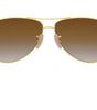 Ray-Ban RB8313 001/51