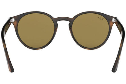 Ray-Ban Havana Collection RB2180 710/73