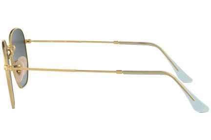 Ray-Ban Hexagonal Flat Lenses RB3548N 91233M