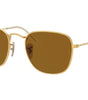 Ray-Ban Frank RB3857 919633