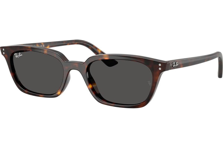 Ray-Ban Zaya RB4456 135987