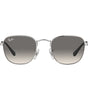 Ray-Ban Hexagonal Flat Lenses RB3548 003/32
