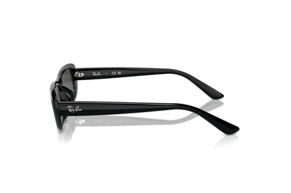 Ray-Ban RB4436D 667787