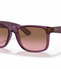 Ray-Ban Justin RB4165 6595/14