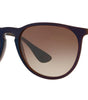 Ray-Ban Erika Classic Havana Collection RB4171 6315/13