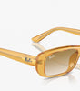 Ray Ban RB4436D 668213
