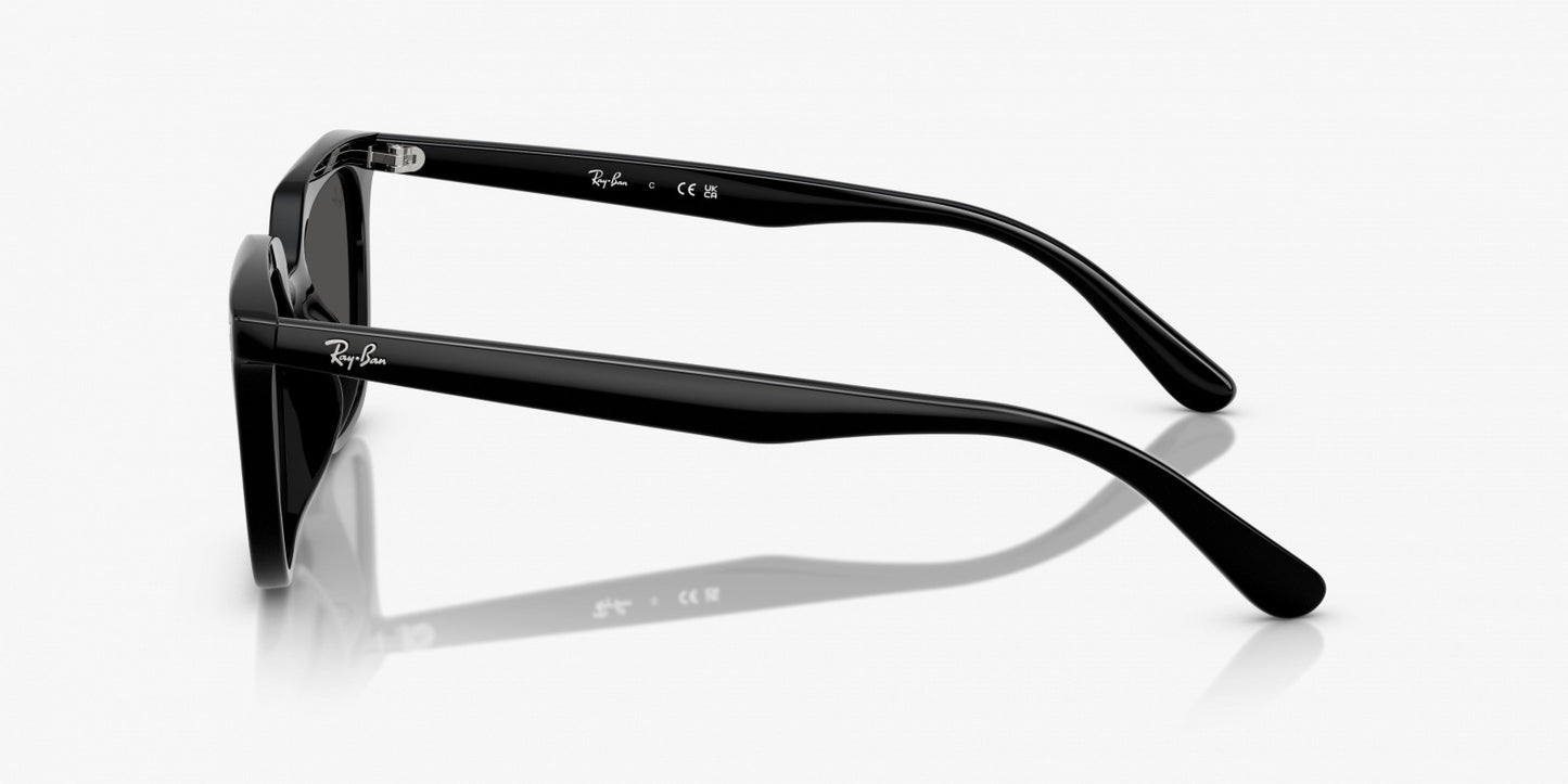 Ray-Ban RB4439D 901/87