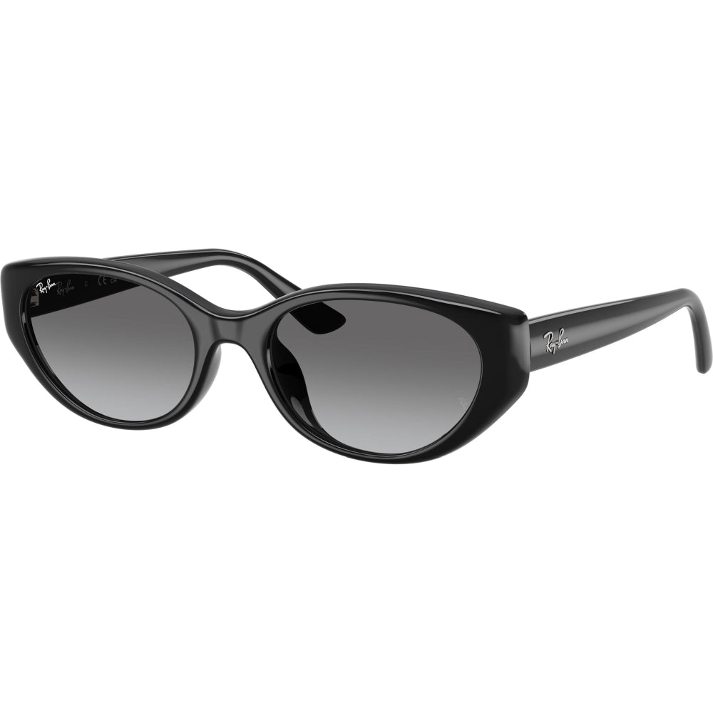 Ray-Ban RB4457D 6677/11