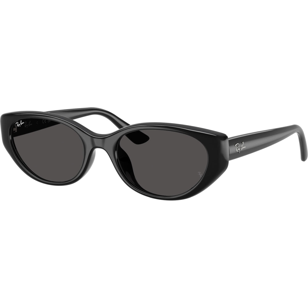 Ray-Ban RB4457D 6677/87